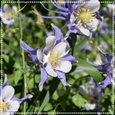 aaeb3621-71f2-4989-a9b1-da8b760fe2c1