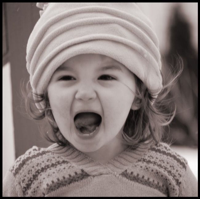 03849DC2-A560-4EB5-86F8-01B34D266382