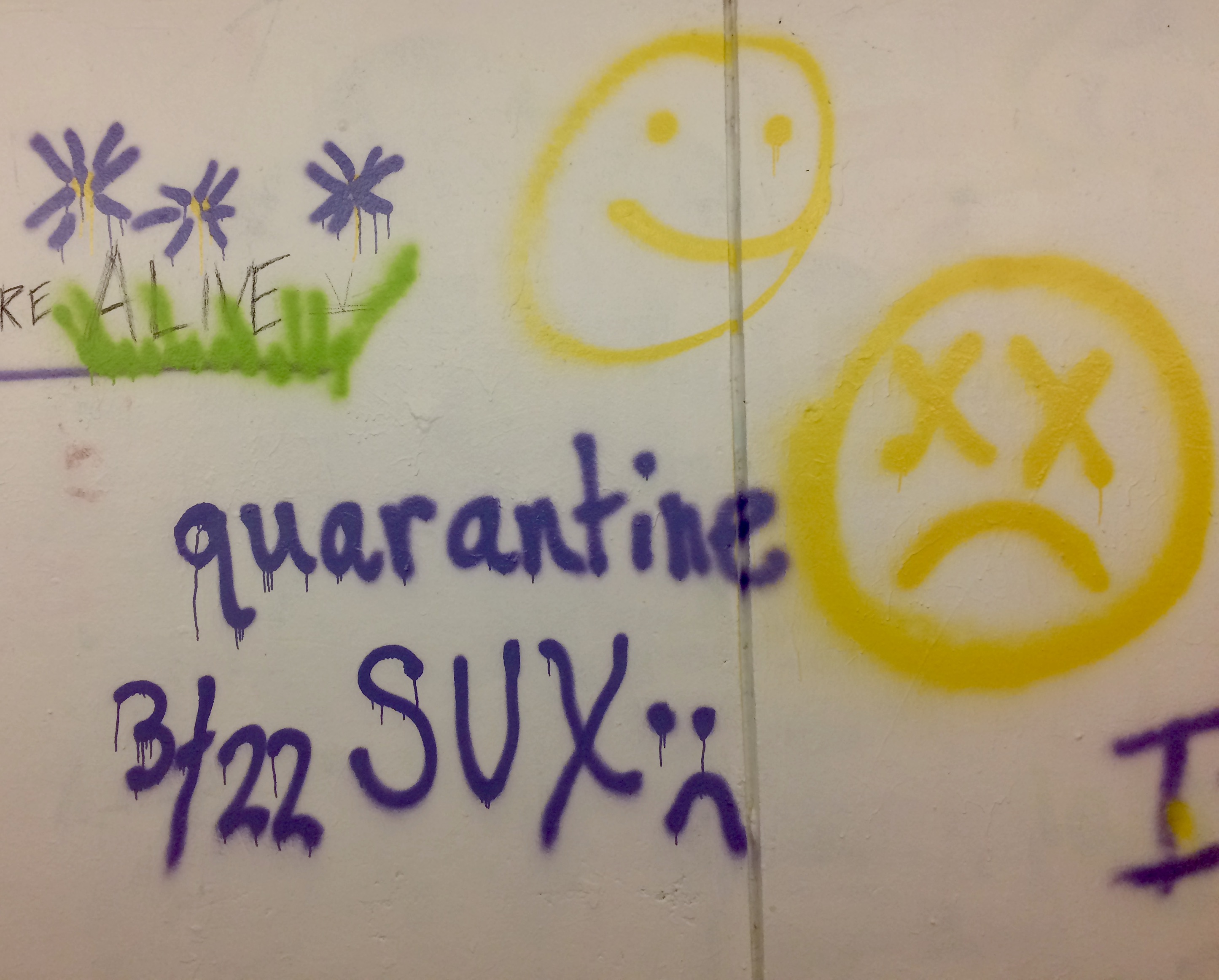 458039CF-38CB-4811-BB57-E1861108A6FD_1_201_a