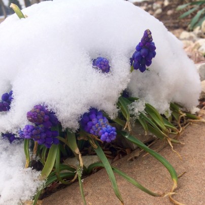 C57AF784-FB29-48B0-A95D-21099BDF35D8_1_201_a